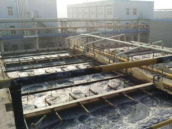 �ۺ��Ȼ��X�͑��F��